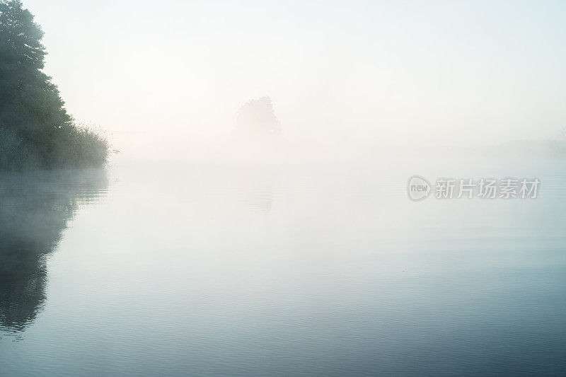 夏末湖面上的晨雾Müritz，德国，梅克伦堡- vorpommern